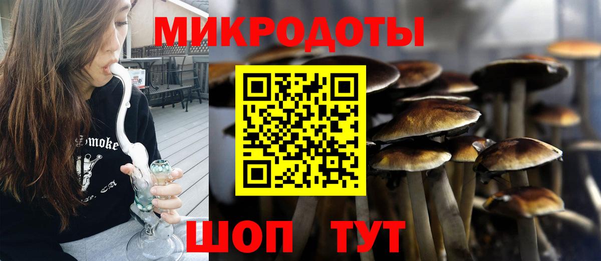 Псилоцибиновые грибы прущие грибы Великие Луки